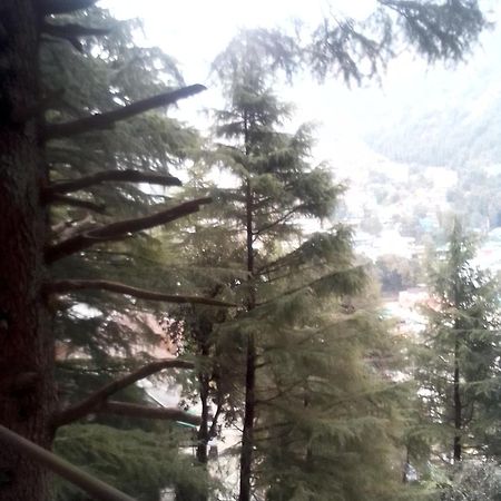 ダラムシャーラー Himalayan Triund Trekking And Mountain Viewホステル エクステリア 写真