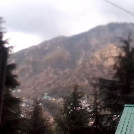 ダラムシャーラー Himalayan Triund Trekking And Mountain Viewホステル エクステリア 写真