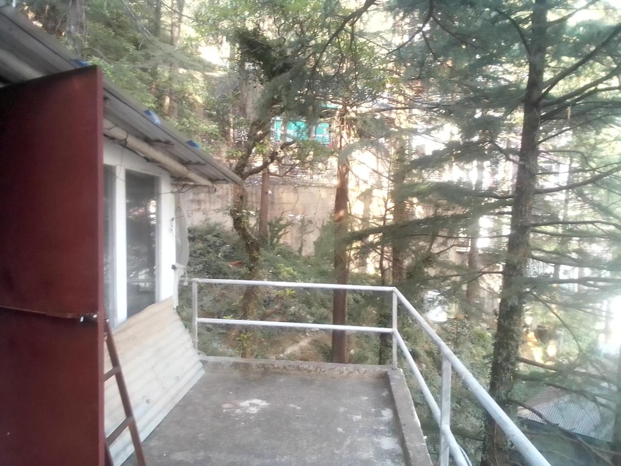 ダラムシャーラー Himalayan Triund Trekking And Mountain Viewホステル エクステリア 写真